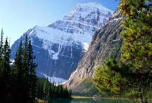 探索天涯论坛的原创文学世界！